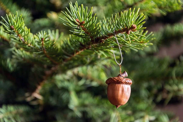 緑の針葉樹のトウヒの木にかかって茶色のアコーンから作られた自然なクリスマスの装飾 ストック写真