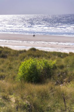 De Haan, Batı Flanders, Belçika, güneşli bir yaz günü sahil köyünde kumullar...