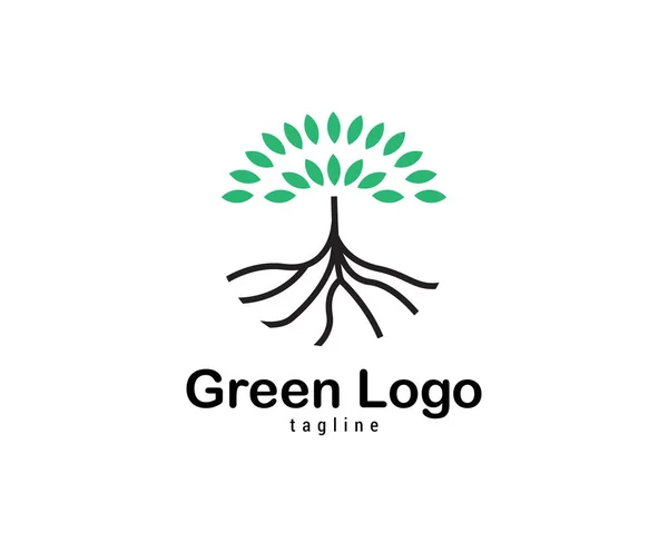 Eco Green Organic Oak Plant Icono Concepto Logotipo — Vector de stock