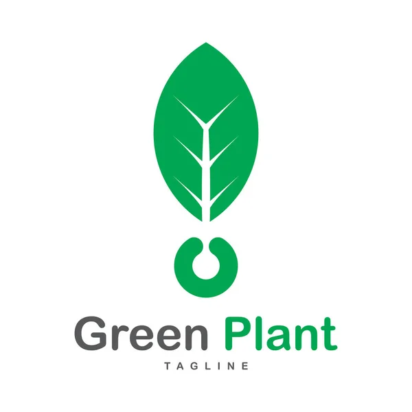 Eco Green Organic Oak Plant Logotype Icône Concept — Image vectorielle