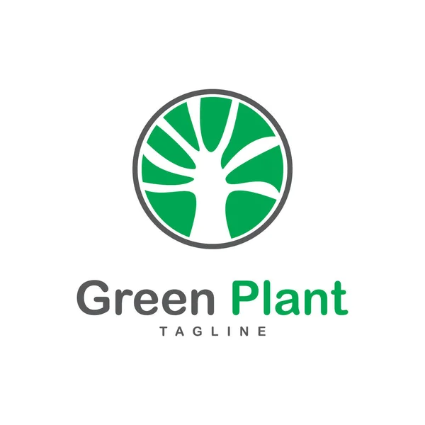 Eco Green Organic Oak Plant Logotype 컨셉트 아이콘 — 스톡 벡터