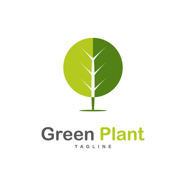 Eco Green Organic Oak Plant Logotype Icône Concept — Image vectorielle