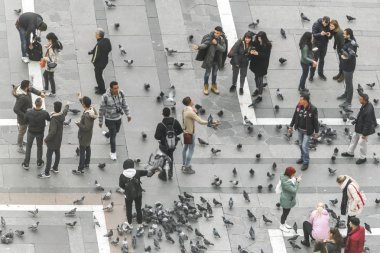 Milan, İtalya, 10 Kasım 2017: Kalabalık insan ve kare, üst görünümünde güvercinler