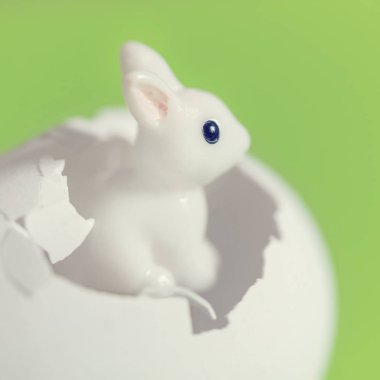 Yeşil bir arka plan üzerinde yumurta kabuğu içinde küçük beyaz oyuncak tavşan