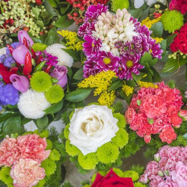 Renkli farklı çiçek demetleri. Çiçekçi Dükkanı