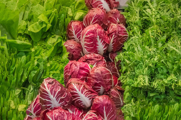 Шпинат, радиккио, руккола фон
