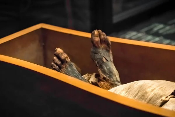 Legs Ancient Mummy Sarcophagus Close — Stock Photo, Image