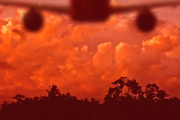 Силуэт Самолета Взлетающего Над Деревьями Закате — стоковое фото