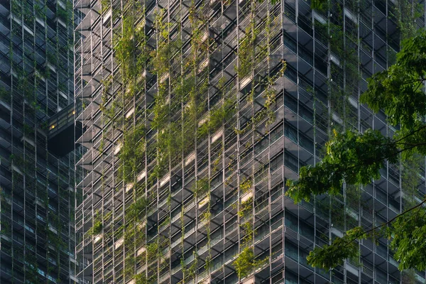 Fachada Arranha Céu Moderno Coberto Plantas Verdes — Fotografia de Stock