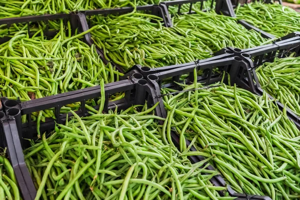 Groene Erwt Peulen Containers Teller — Stockfoto