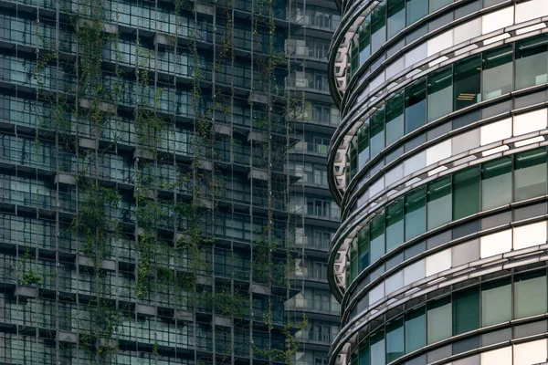Fachada Rascacielos Moderno Cubierto Plantas Verdes —  Fotos de Stock
