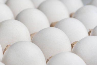 Beyaz tavuk yumurta karton ambalajlama, arka plan, doku