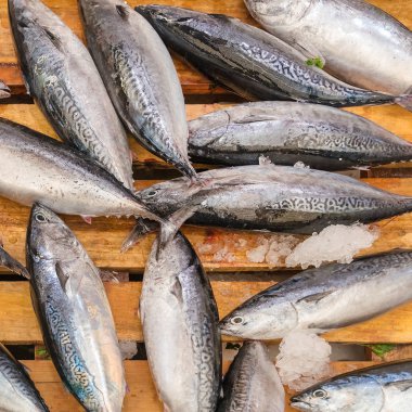 Ahşap plakalar, yakın çekim, arka plan üzerinde taze balık