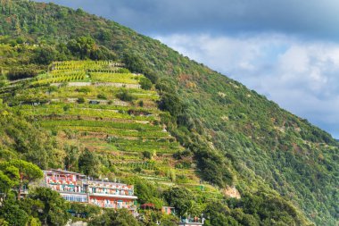 Dağlarda Teras bahçeleri