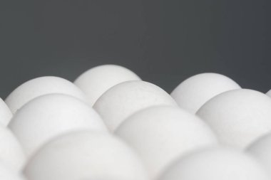 Doku, gri bir arka plan beyaz tavuk yumurta