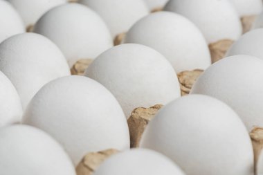 Beyaz tavuk yumurta karton ambalajlama, arka plan, doku