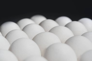 Beyaz tavuk yumurtası siyah bir arka plan doku