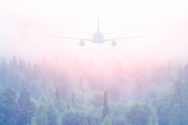 Sisli orman üzerinde uçan uçak