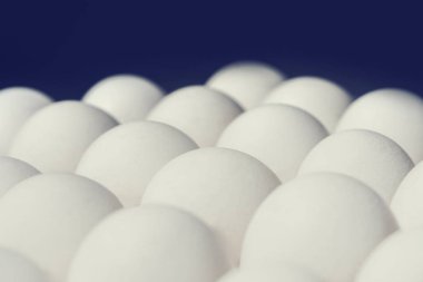 Beyaz tavuk yumurtası, arka plan, doku