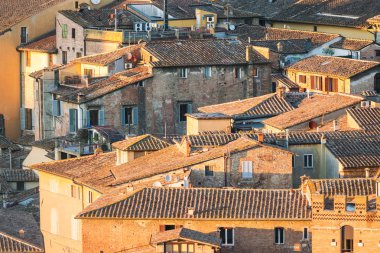 Görünümünü rooftops, Siena, Toskana, İtalya