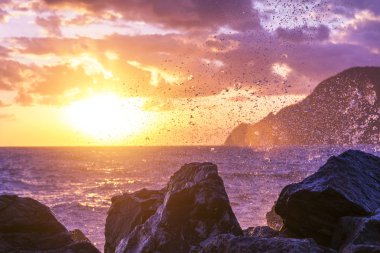 Güzel deniz manzarası. Su sıçramalarına karşı kayalar günbatımında yenerek dalgalardan