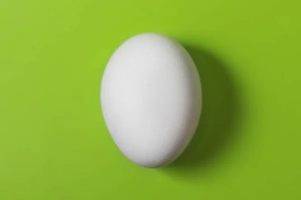Άσπρη Κότα Αυγό Πράσινο Φόντο — Φωτογραφία Αρχείου