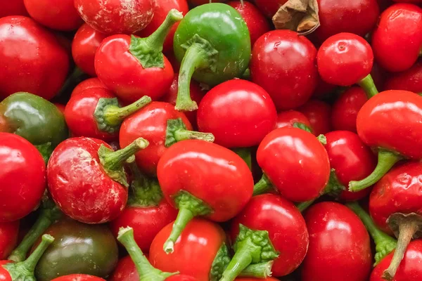 Red Pepper Ratunda Gogoshar Background — Stock Photo, Image