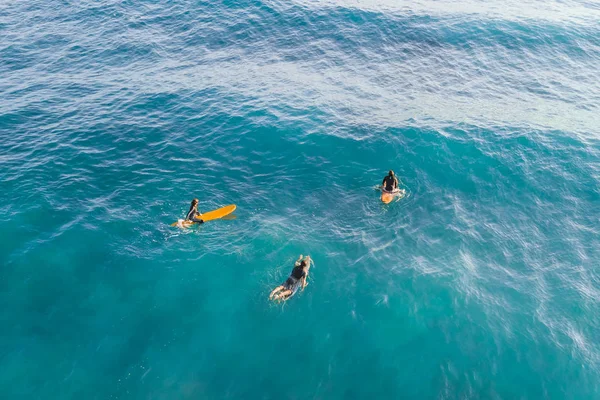 海の中の3人のサーファー トップビュー — ストック写真