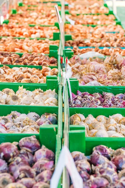 Onion Garlic Market Counter Background — Stock Photo, Image