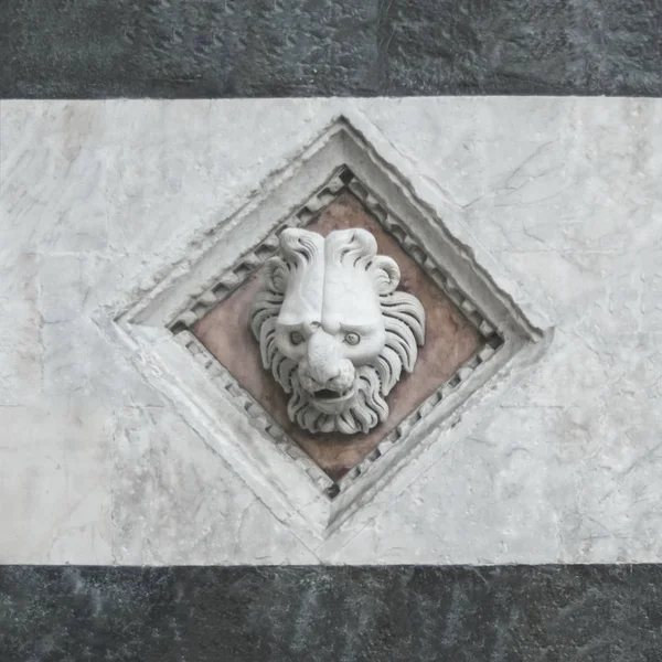 石の壁にはライオンのレリーフ — ストック写真