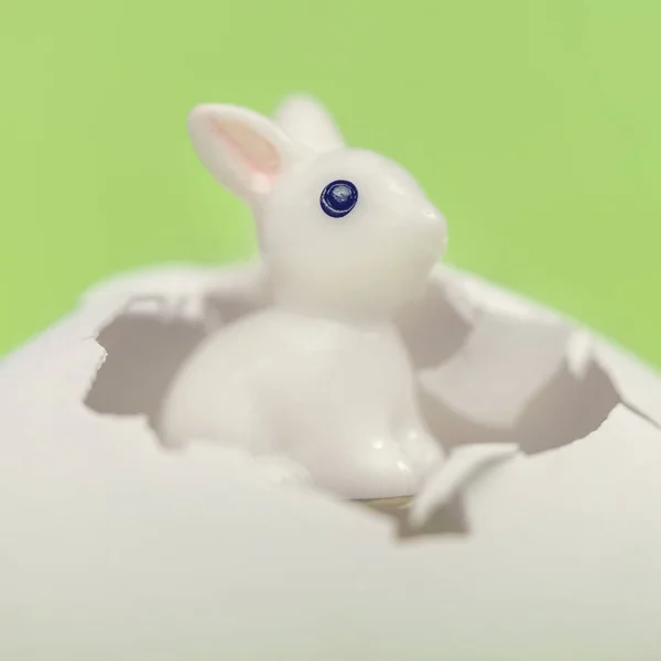 Little white toy rabbit in the eggshell on a green background