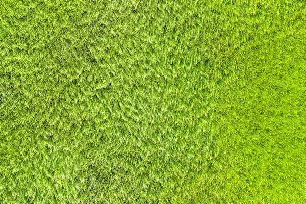 Bovenaanzicht Van Natuur Groen Gras Achtergrond — Stockfoto