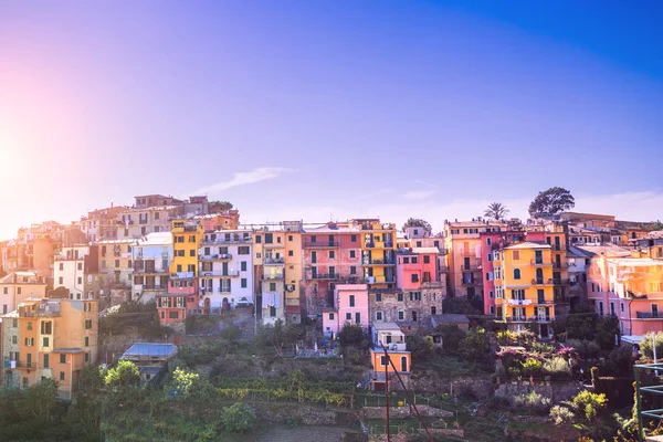 Corniglia Vernazza Spezia Eyaletinin Önemli Cinque Terre Talya Için Belediye — Stok fotoğraf