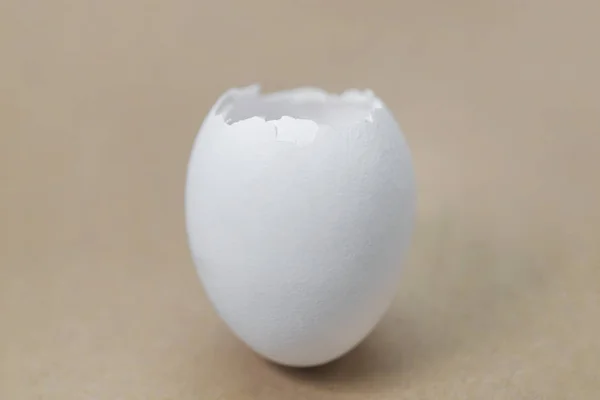Kahverengi Bir Arka Plan Üzerinde Beyaz Yumurta Kabuğu — Stok fotoğraf