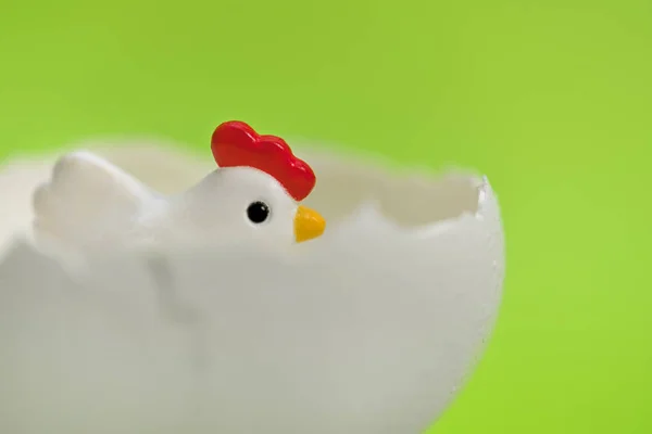 Little toy chicken in the eggshell on a green background