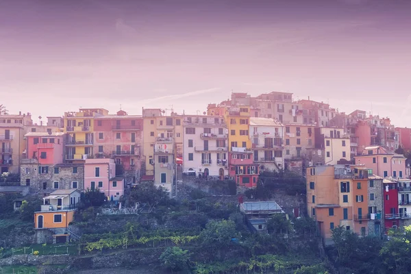 Pôr Sol Corniglia Itália — Fotografia de Stock