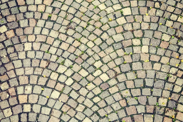 Alte Kopfsteinpflasterstraße Mit Gras Hintergrund Textur — Stockfoto