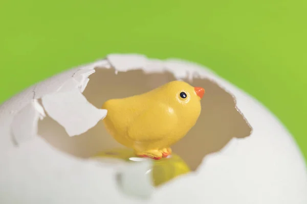Pequeño Juguete Pollo Amarillo Cáscara Huevo Sobre Fondo Verde — Foto de Stock