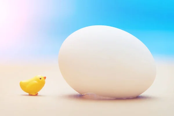 小玩具黄色小鸡附近的大白鸡蛋在蓝色背景 — 图库照片