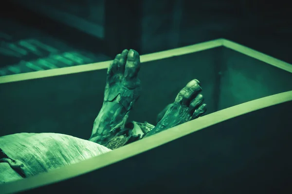 Ноги Древней Мумии Саркофаге Крупным Планом — стоковое фото