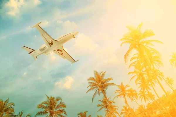 Passenger Airplane Flying Palm Trees — Stock Photo, Image