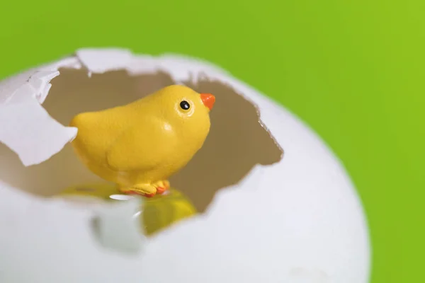 Pequeño Juguete Amarillo Polluelo Cáscara Huevo Sobre Fondo Verde — Foto de Stock