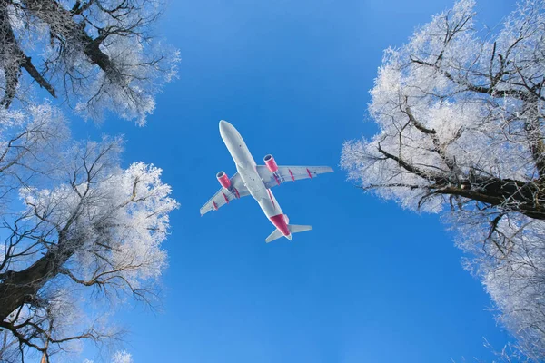 Passenger airplane flying over snow-covered trees