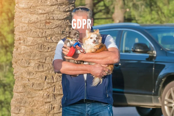 Hombre Con Dos Chihuahua Esconde Rostro Detrás Inscripción Gdpr Reglamento — Foto de Stock