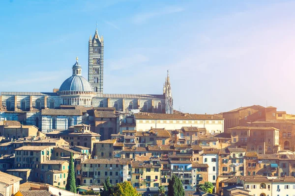 Siena Katedrali Nin Güneşli Bir Günde Tuscany Talya — Stok fotoğraf