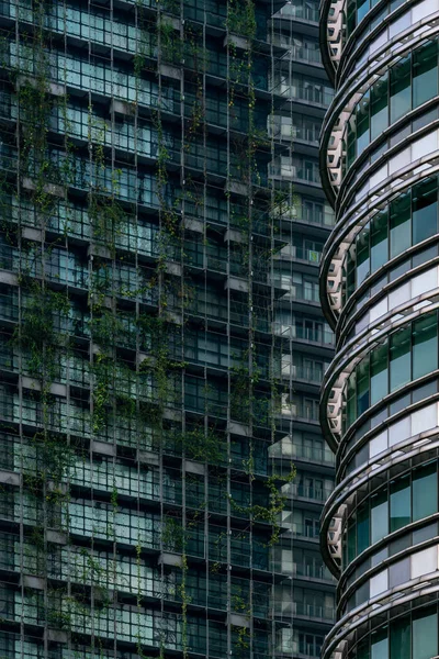 近代的な高層ビルのファサードは 緑の植物で覆われています — ストック写真