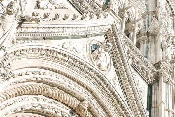 Detalle Catedral Siena Italia Primer Plano —  Fotos de Stock