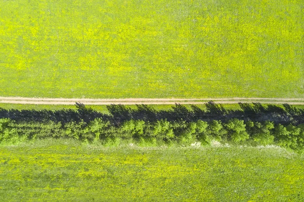 Silnice Přes Zelené Pole Pohled Shora — Stock fotografie