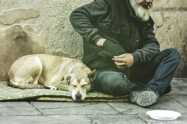 通りで物乞いをする犬を持つ乞食老人 — ストック写真
