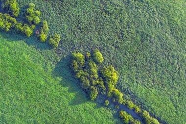 Ağaçları ile yeşil bir alanın üstten görünüm